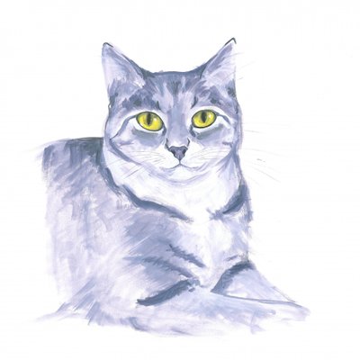 Gato observador de Isabelle Brent
