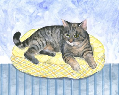 Gato almohada de Isabelle Brent