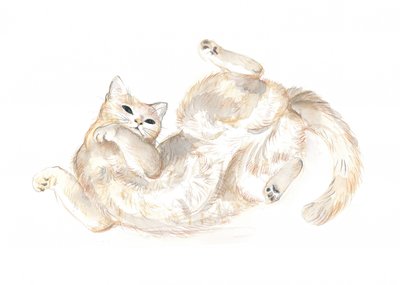 Gato juguetón de Isabelle Brent