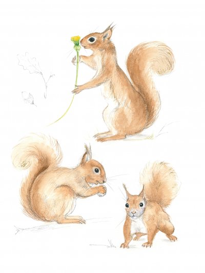 Ardillas juguetonas de Isabelle Brent