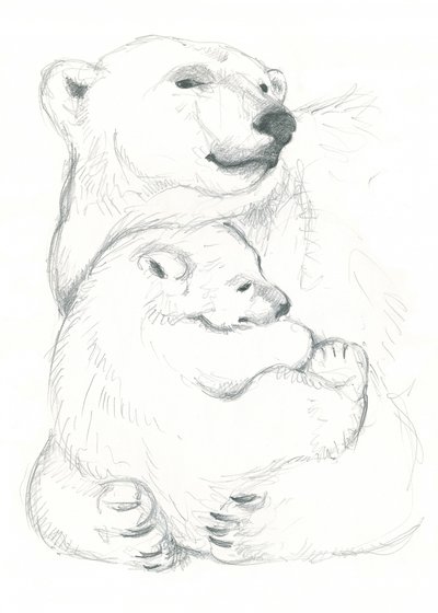 Dibujo de oso polar y cría de Isabelle Brent