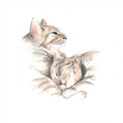 Gatos relajados de Isabelle Brent