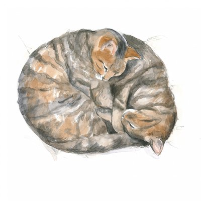 Gatos redondos de Isabelle Brent