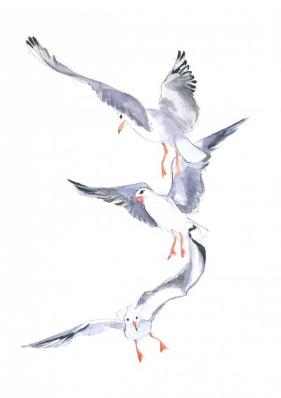 Vuelo de gaviota de Isabelle Brent