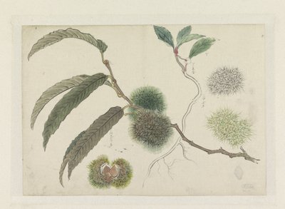 Castañas en rama de Ishikawa Kazan