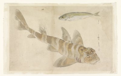 Dos pescados: gurnard (?) y arenque de Ishikawa Kazan