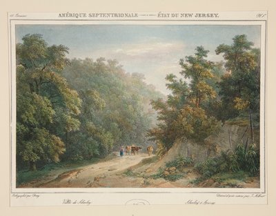 América del Norte - Estado de Nueva Jersey. nº 49, pl. 1 de Isidore Laurent Deroy