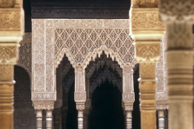 Detalle de arcos en el Patio de los Leones de Islamic School
