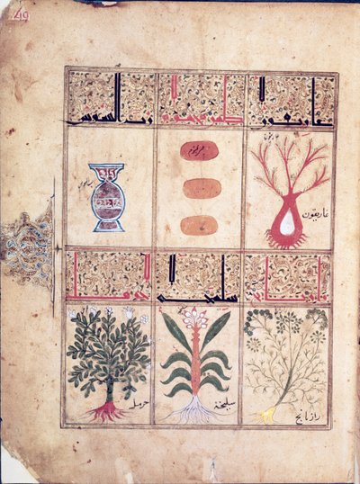 Ms. Arabe 2964 fol.49 Plantas del Tratado de Teriaca según Galeno, 1217 de Islamic School