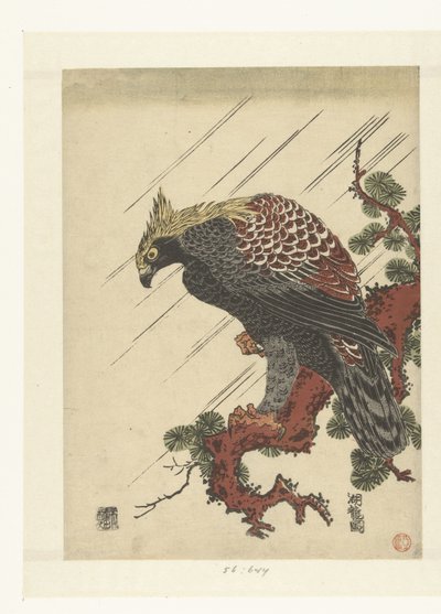 Águila en rama de pino bajo la lluvia de Isoda Koryusai
