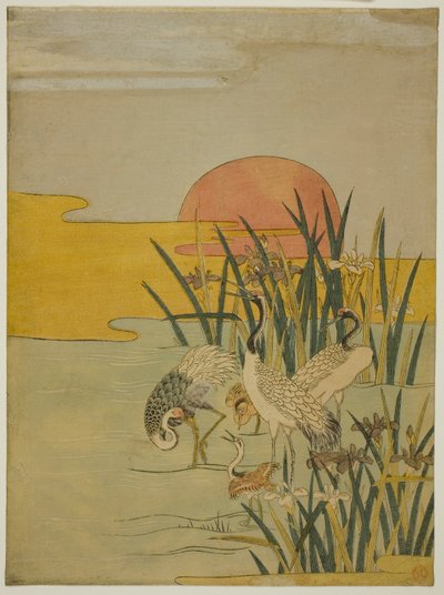 Grullas en un estanque de iris al amanecer de Isoda Koryusai