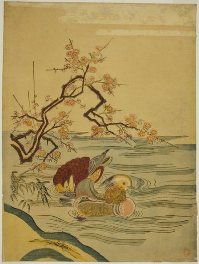 Patos mandarines nadando bajo una rama de ciruelo de Isoda Koryusai