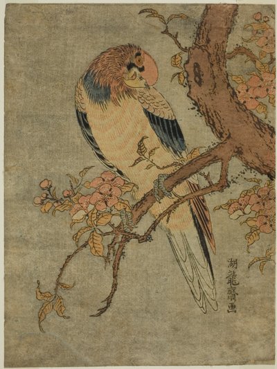Loro en árbol de membrillo de Isoda Koryusai
