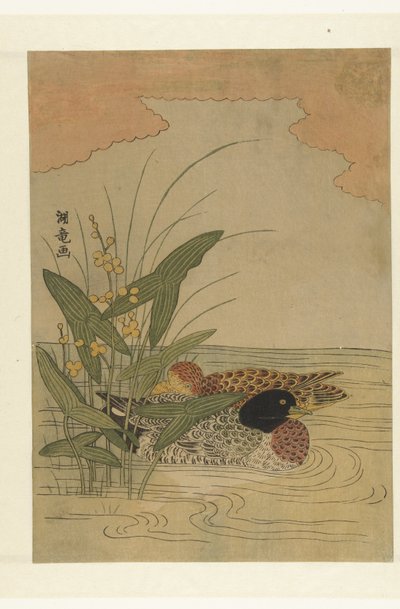 Dos patos nadando en la maleza floreciente amarilla de Isoda Koryusai