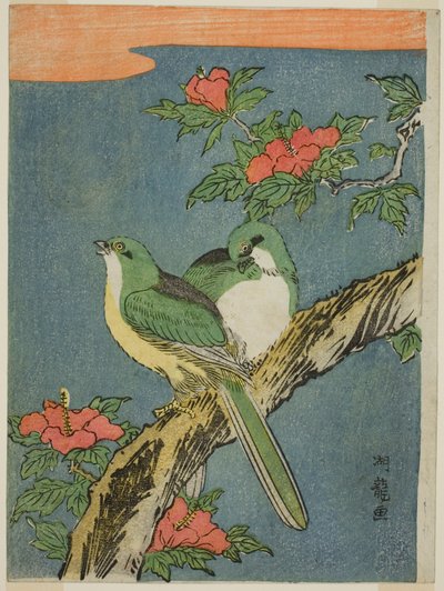 Dos pájaros en un árbol de hibisco de Isoda Koryusai