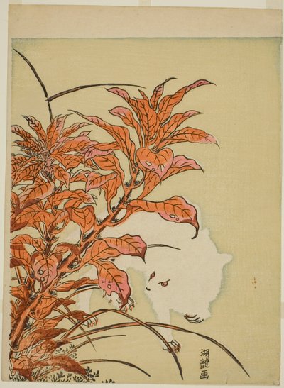 Conejo blanco y amaranto de Isoda Koryusai