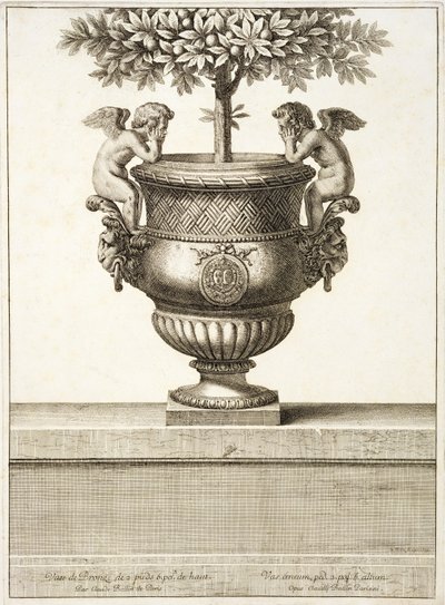 Urnas de bronce usadas para árboles cítricos, ilustración de 