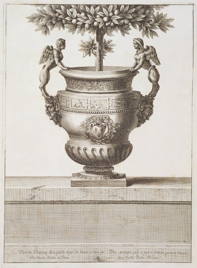 Urnas de Bronce usadas para árboles cítricos, ilustración de 