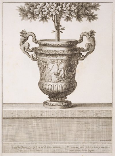 Urnas de Bronce usadas para árboles cítricos, ilustración de 