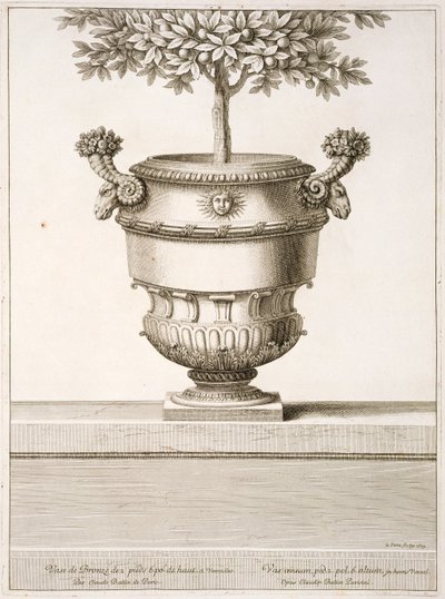 Urnas de bronce usadas para árboles cítricos, ilustración de 