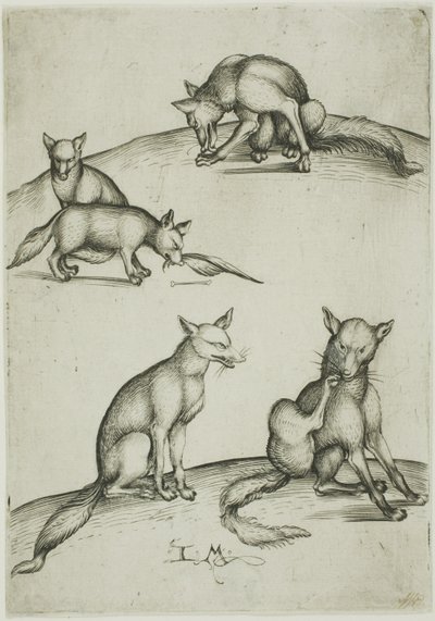 Los cinco zorros de Israhel van Meckenem the younger