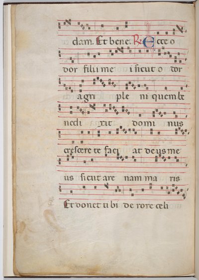 Hoja 8 de un fragmento antifonal (verso) de Italian 13th Century