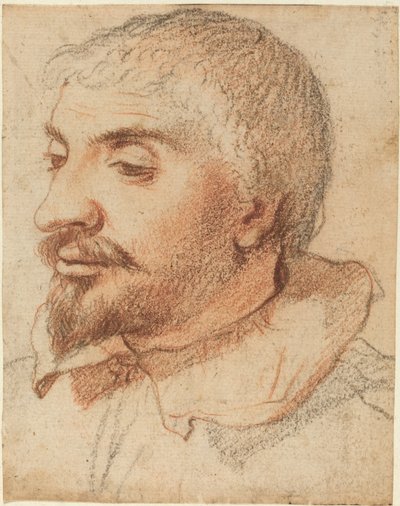 Cabeza de un hombre de Italian 17th Century