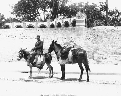 Un Campiere, Palermo, c.1920 de Italian Photographer