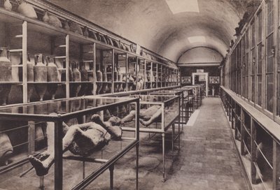 Interior del Museo de Italian Photographer