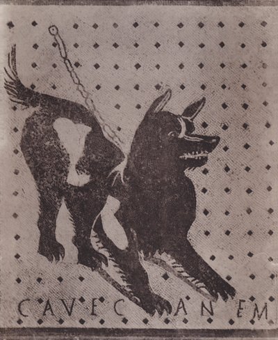 Mosaico, Cave Canem de Italian Photographer