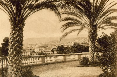 San Remo, Entre las Palmas (foto en b/n) de Italian Photographer