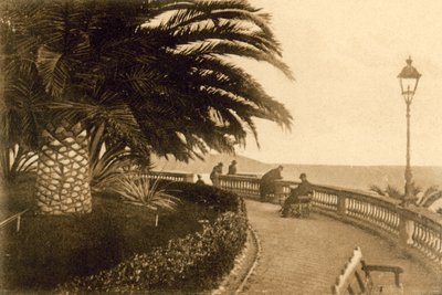 San Remo, Jardines Reina Elena de Italian Photographer