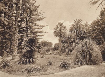 Sicilia / Sicilia: Villa Tasca, Palermo (foto b/n) de Italian Photographer