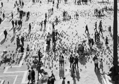 Vista de la multitud en la Piazza San Marco, Venecia, c.1965 de Italian Photographer