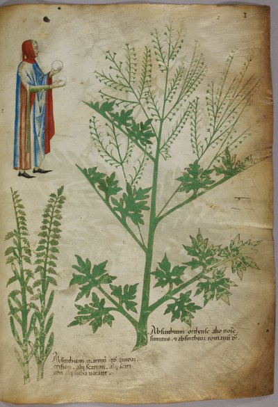 Figura con toga que sostiene un globo blanco en cada mano; plantas, c.1440 (tinta y color sobre vitela) de Italian School