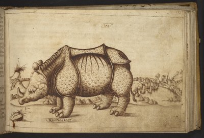 Agregar. 82955, f.172 Rinoceronte., de Historia Animalium de Italian School