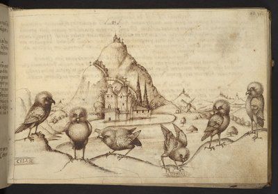 Agregar. 82955, f.40 Aves. (