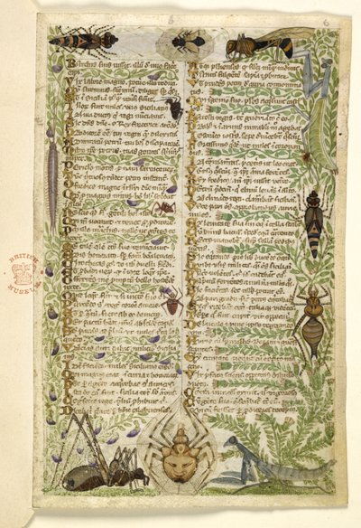 Añadir MS 28841 f.006r Parte de un tratado en prosa sobre los Siete Vicios y un verso sobre acontecimientos de la historia de Sicilia en la época de Federico II, por Cocharelli, c.1330-40 de Italian School