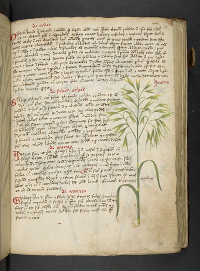Añadir MS 41623 "A herbal", Belluno (tinta y color sobre vitela) de Italian School