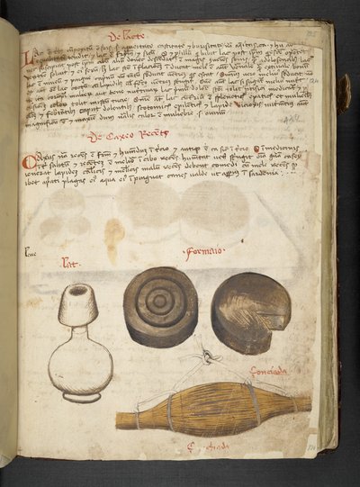 Añadir MS 41623 f.124r "A herbal", Belluno (tinta y color sobre vitela) de Italian School