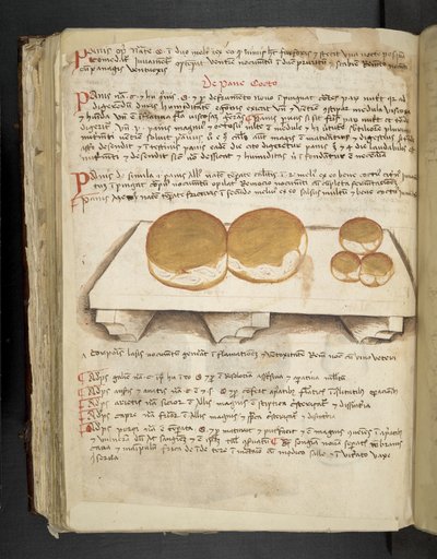 Añadir MS 41623 f.124v De Pane, de "A herbal", Belluno (tinta y color sobre vitela) de Italian School