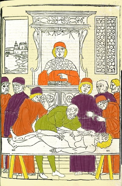 Disección anatómica. Grabado de un Tratado de Medicina por Gerolamo Cardano (Cardano) (Cardanus Hieronymus), Florencia de Italian School