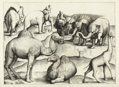 Pinturas de Animales de la Antigua Roma, Tabla, 3., pub. Antonio Lafrere 1528 de Italian School