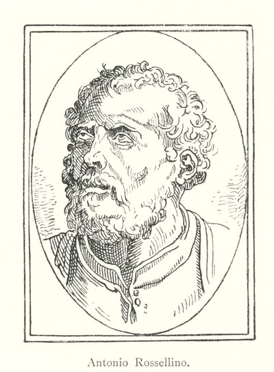 Antonio Rossellino de Italian School