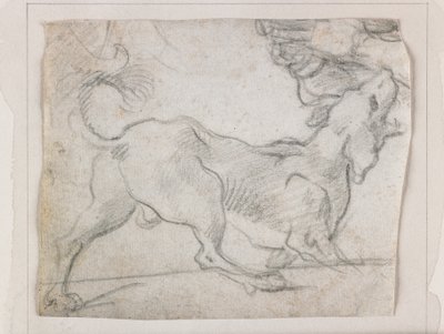 Perro ladrando, visto desde atrás de Italian School