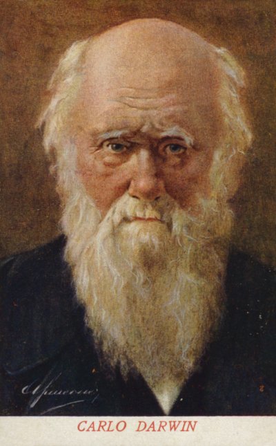 Charles Darwin (1809-1882), naturalista inglés (litografía en color) de Italian School