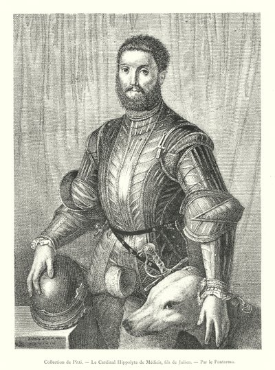 Colección de Pitti, El Cardenal Hipólito de Médici, hijo de Juliano, por Pontormo de Italian School