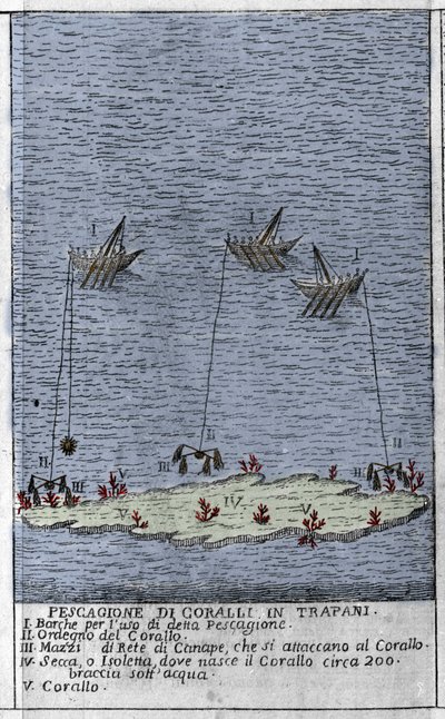 Pesca de coral en el Golfo de Trapani en Sicilia, una representación de pequeñas islas submarinas donde se forman barriles de coral. Grabado de “Stato Presente della Sicilia” por Arcangelo Leanti, Palermo 1761 de Italian School