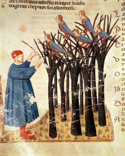 Dante y las almas transformadas en aves, de La Divina Comedia de Dante Alighieri (1265-1321) de Italian School