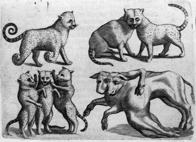 Diferentes tipos de monstruos: gatos y vacas con múltiples cuerpos. Grabado de “De monstrorum natura, causis et differentiis” por Fortunio Liceti (1577-1656), científico italiano. 1646 de Italian School